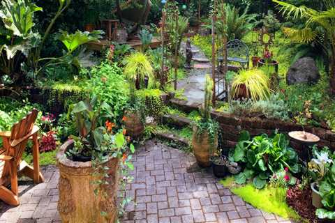 Landscaping Services Unleashed: Transform Your Yard into a Stunning Outdoor Retreat