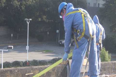 Content Cleaning and Restoration: Repairing and Cleaning Up After a Disaster