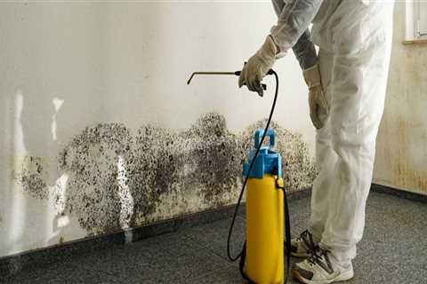 DIY Methods for Mold Removal: A Comprehensive Guide to Emergency Home Restoration