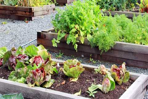 A Guide to Regular Weeding, Pruning, and Fertilizing for a Beautiful Garden