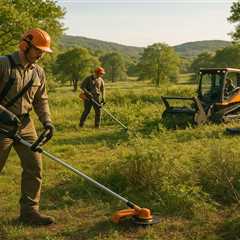 Best Low-Impact Tools for Land Clearing 2025