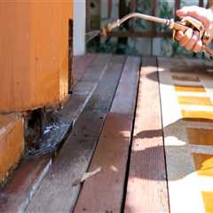 Don’t Let Termite Damage Ruin Your Kitchen Cabinets: Know The Control Costs In Fayetteville, GA