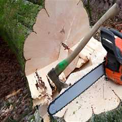 How Grass Seed Can Complete Your Lawn Makeover After Tree Removal In Kalamazoo, MI