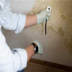 Protect Your Home and Health: The Importance of Professional Mold Inspection