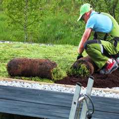 The Many Benefits of Using Sustainable Materials for Your Roofing and Construction Needs