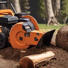 Utah Stump Grinding Process And Tools