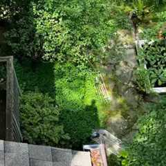 Gutter cleaning company Bowie, MD · May 14 – 13 📸