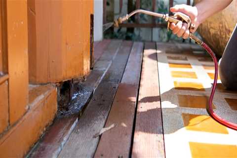 Don’t Let Termite Damage Ruin Your Kitchen Cabinets: Know The Control Costs In Fayetteville, GA