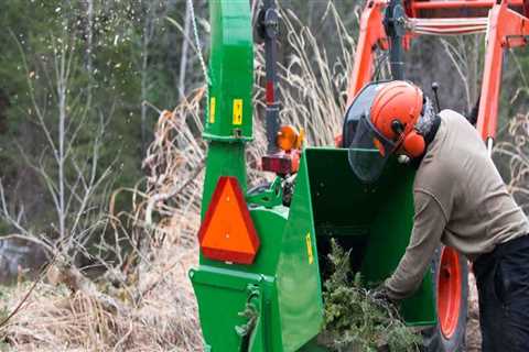 Why Hiring A Landscaper With Forestry Equipment Is A Game-Changer For Portland Properties