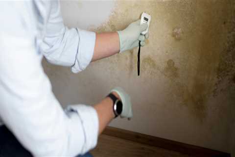 Protect Your Home and Health: The Importance of Professional Mold Inspection
