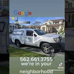 Pest Control in Orange CA and Los Angeles Ca