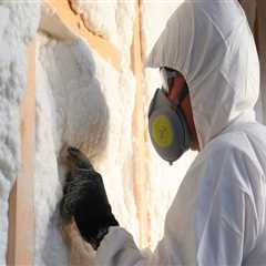 How Professional Pest Control Enhances Your Attic Fans' Efficiency In Las Vegas
