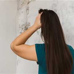 Hidden Threats: Why Mold Inspection Is Crucial for a Healthy Home