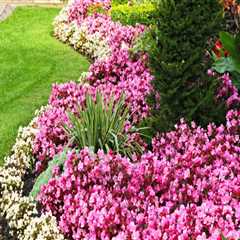 From Plain to Picturesque: Creative Ideas for Stunning Front Yard Landscaping