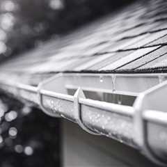 The Role of Gutters in Protecting Your Roof and Home