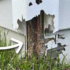 Easy DIY Fix for Damaged Siding