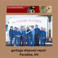 garbage disposal repair Paradise, NV - A A Cassaro Plumbing Co