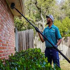 Boost Groundskeeping Efficiency In Longwood With Targeted Pest Control Services