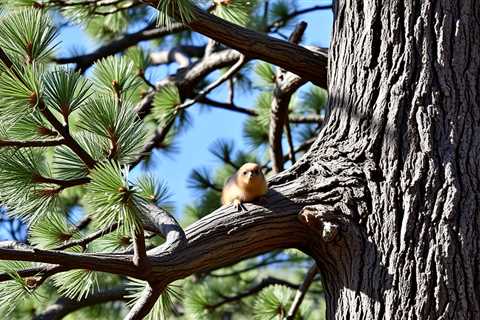 A Simple Key For Tree Removal In Utah Unveiled
