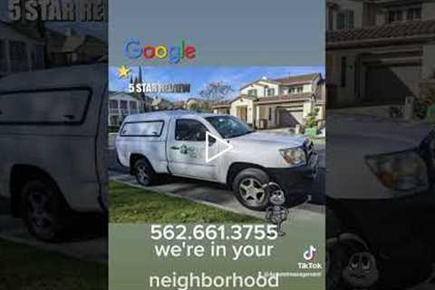 Pest Control in Orange CA and Los Angeles Ca