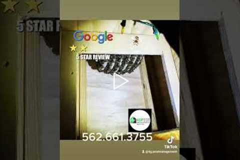 Bees in your property?