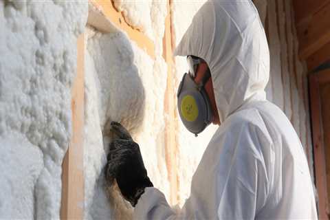 How Professional Pest Control Enhances Your Attic Fans' Efficiency In Las Vegas