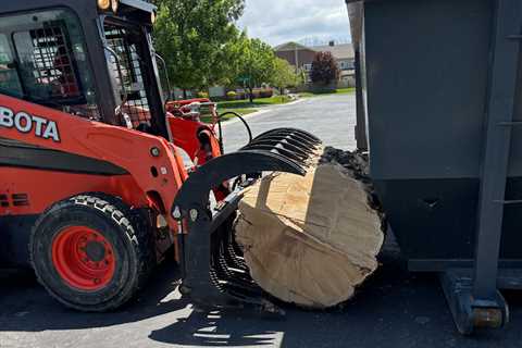 Expert Tree Removal Services Neola