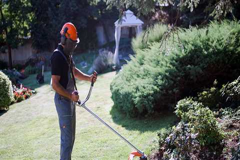 Why Combining Tree Care Services And Lawn Care Creates Lasting Results In Round Rock