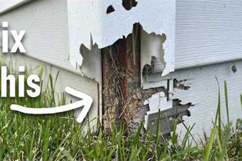 Easy DIY Fix for Damaged Siding