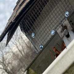 How Pest Extermination Services Identify Risks Around Attic Fans In Charleston