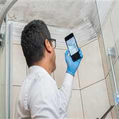 Mold Inspection 101: A Homeowner’s Guide to a Safer Living Space