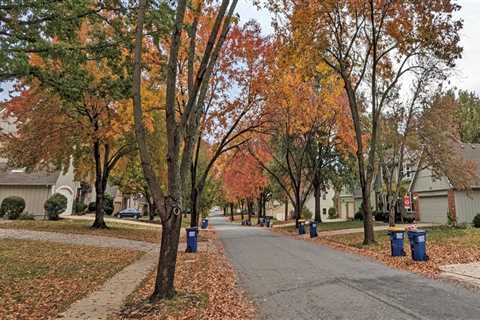 What Makes A Tree Care Solutions Company The Best Choice For Tree Trimming In Johnson City