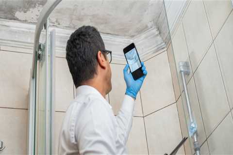 Mold Inspection 101: A Homeowner’s Guide to a Safer Living Space