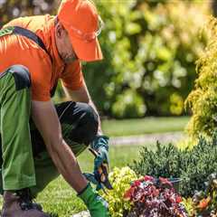 After The Landscape Contractor Leaves: Let The Professionals Handle The Lawn Mowing In Orange Park, ..