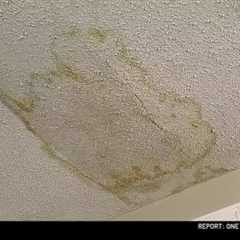 Going Solar: Damaged roofs are the most common complaint