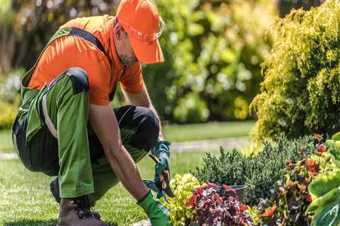 After The Landscape Contractor Leaves: Let The Professionals Handle The Lawn Mowing In Orange Park, ..