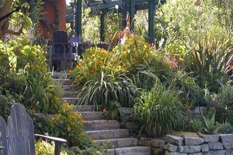 Reimagining Southern California: The Environmental Benefits Of Demolition Services For Landscape..