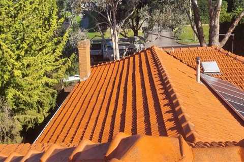 Revitalise Your Roof: The Benefits Of Professional Roof Restoration Services In Melbourne