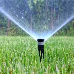 Sprinkler Heads Vs. Roots: How Tree Pruning Minimizes The Need For Repair Services In Northern VA