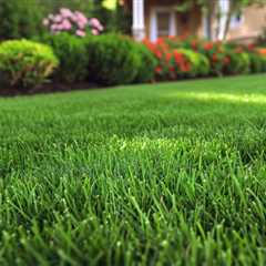 Thorneside Lawn Mowing And Gardening Services