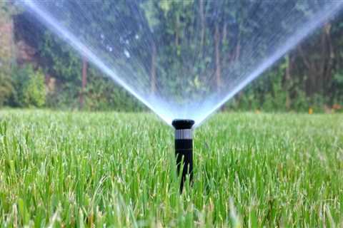 Sprinkler Heads Vs. Roots: How Tree Pruning Minimizes The Need For Repair Services In Northern VA