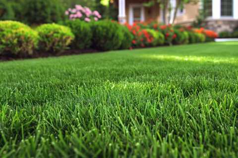 Thorneside Lawn Mowing And Gardening Services