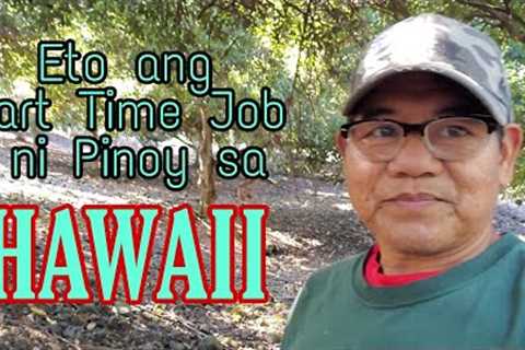 Eto ang Part Time Job ni Pinoy sa Hawaii. Mga Lola Namumulot ng $$$.