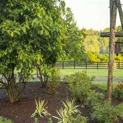 Why Homeowners Choose Mulch Services After Tree Service In Northern Virginia