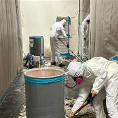 How Professional Mold Remediation Services Enhance Your HVAC And Indoor Air Quality In Portland