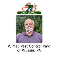 PJ Mac Pest Control King of Prussia, PA - PJ Mac Pest Control