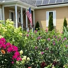 Thriving Outdoors: Landscaping Strategies That Complement Tree Care Services In The New Hampshire..