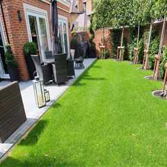 How A Landscaper In New Hampton Can Transform Your Trees With Expert Maintenance