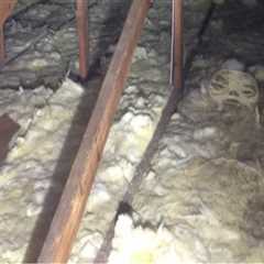 How Attic Fans Impact Roof Performance — Tips From Fort Worth Roofing Pros