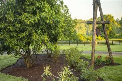 Why Homeowners Choose Mulch Services After Tree Service In Northern Virginia